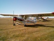 Bushmaster II